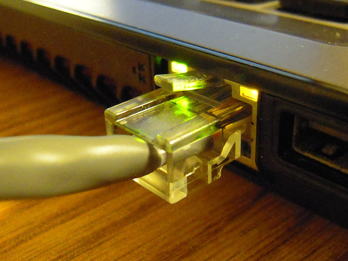 An Ethernet cable being plugged into a secure and flexible connection.