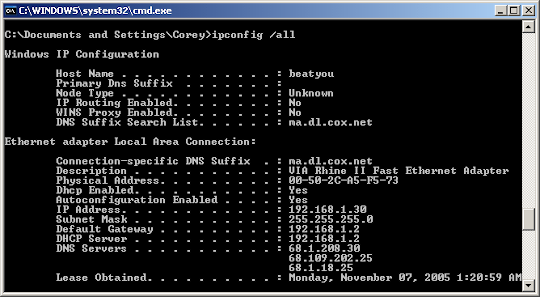 Command prompt window with DNS and IP commands