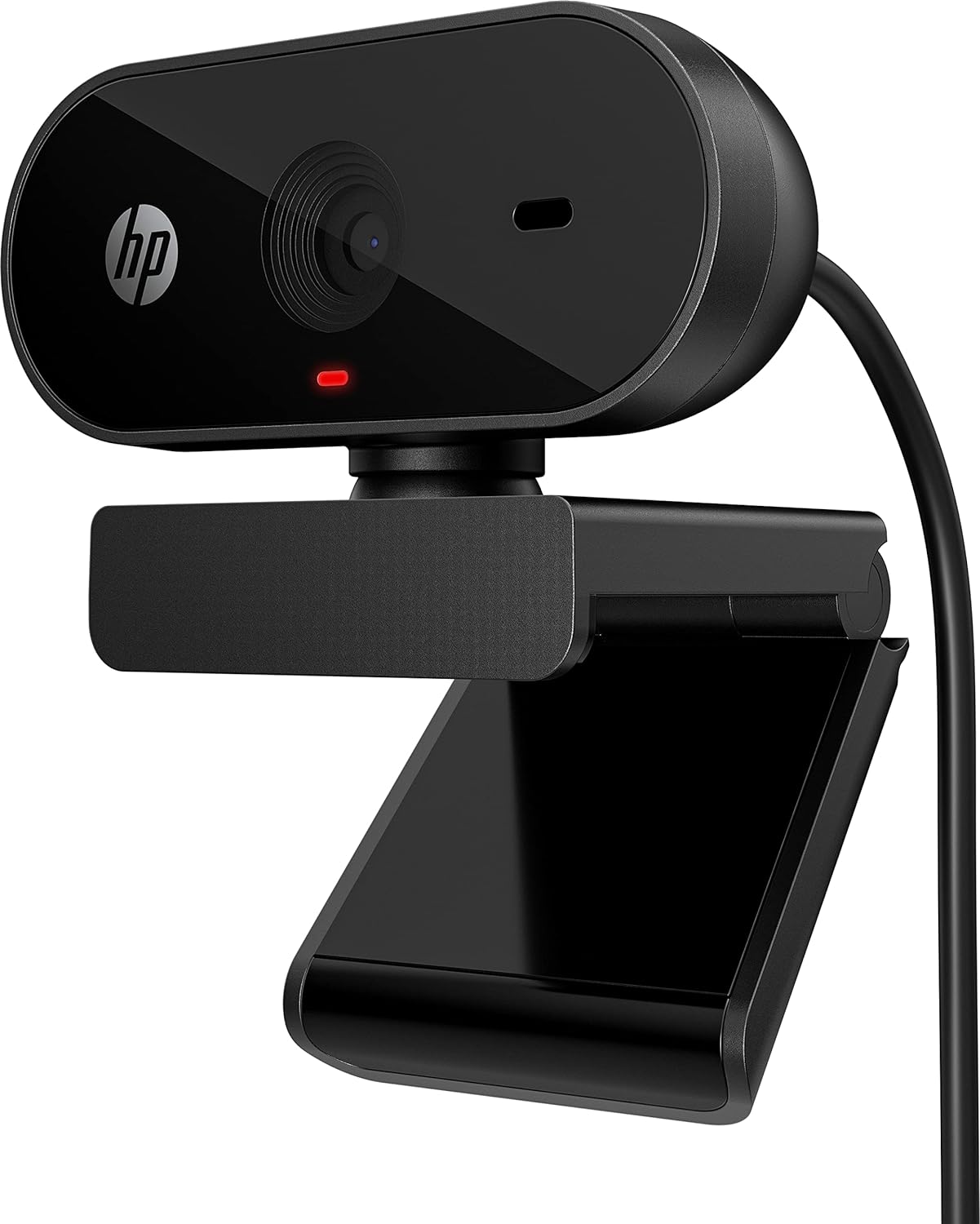 HP webcam software interface