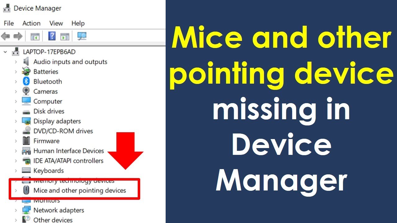 Open Device Manager as explained in the previous step.
Expand the Mice and other pointing devices category.