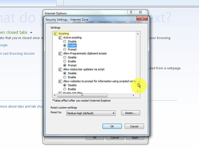 Screenshot of browser settings with JavaScript enabled and extensions checked.